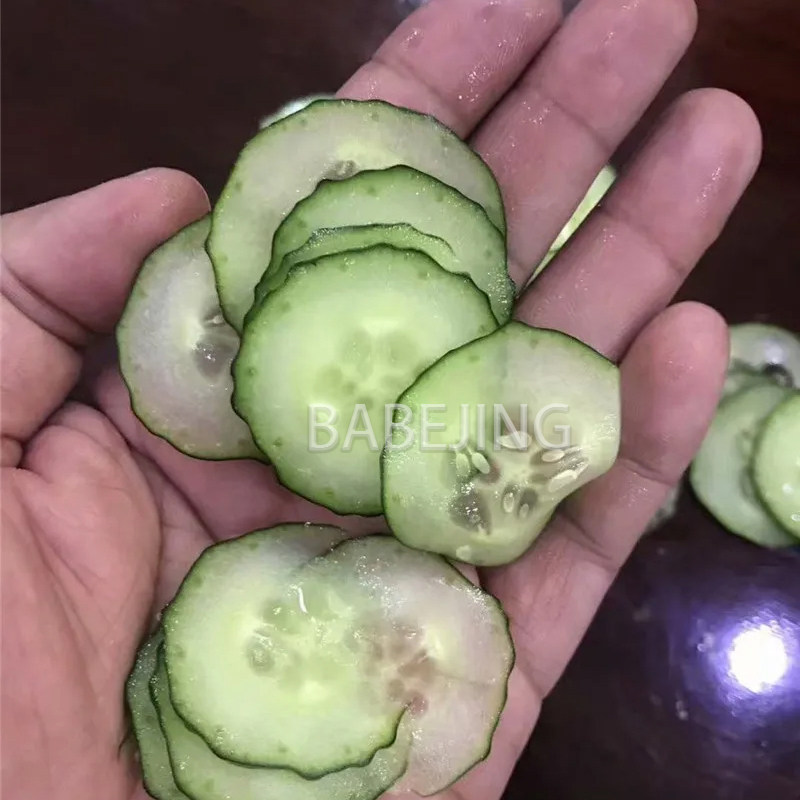 Electric Mini Scallion Chopper - Kitchen Appliances Electric recensie en prijs